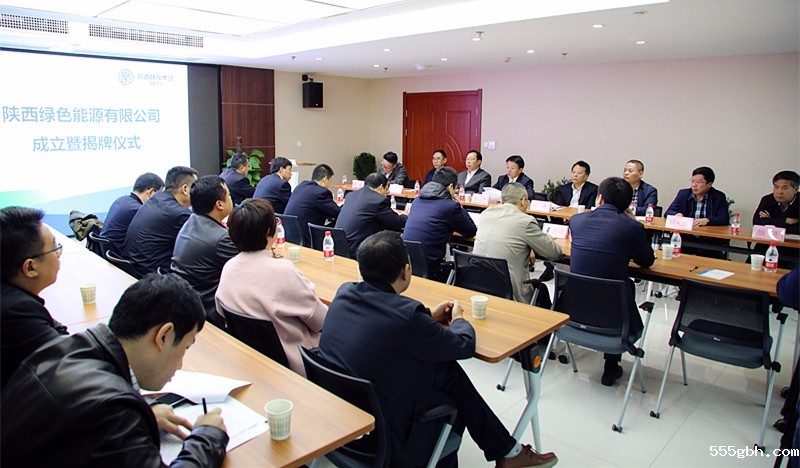 1507620885420337MZxK.jpg 绿色能源公司揭牌大景.jpg