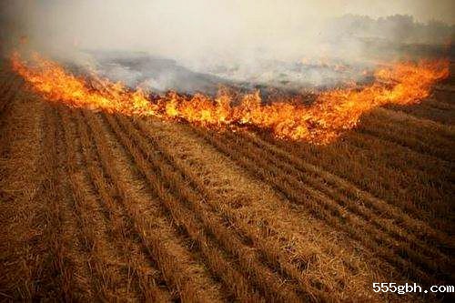 1540487305103185eLpz.jpg timg (5)_副本.jpg