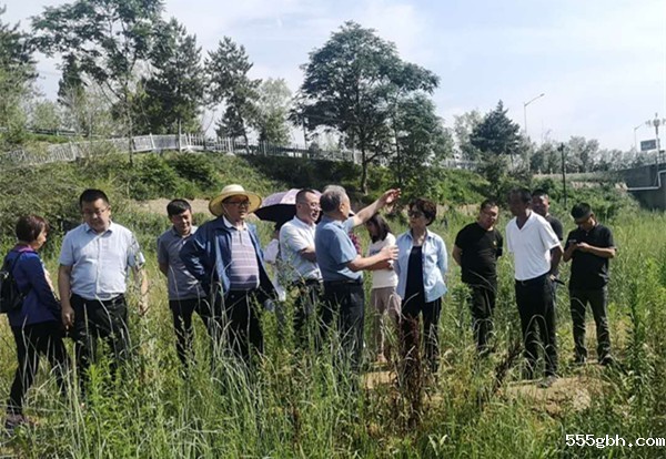 1594257321296216hw00.jpg 图片5_副本.jpg