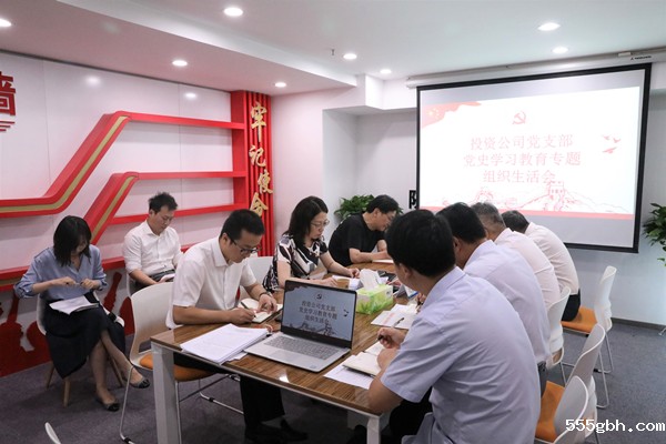 投资公司党支部召开党史学习教育专题组织生活会 (1)_副本.jpg
