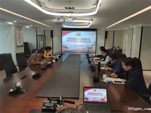 1648433005100071vSZB.jpg 陕西保隆能源科技有限公司召开党史学习专题民主生活会.jpg