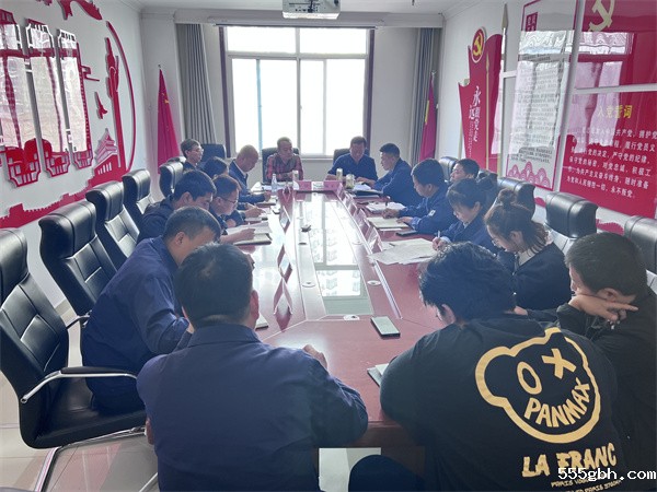 保隆公司传达学习贯彻党的二十大精神.jpg