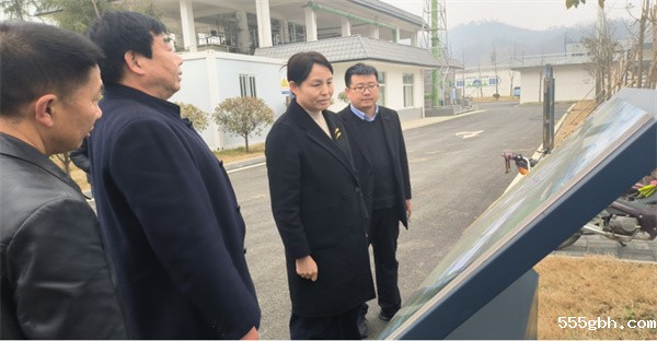 商南县委副书记、县长刘华到水环境公司商南县污水处理厂调研.jpg