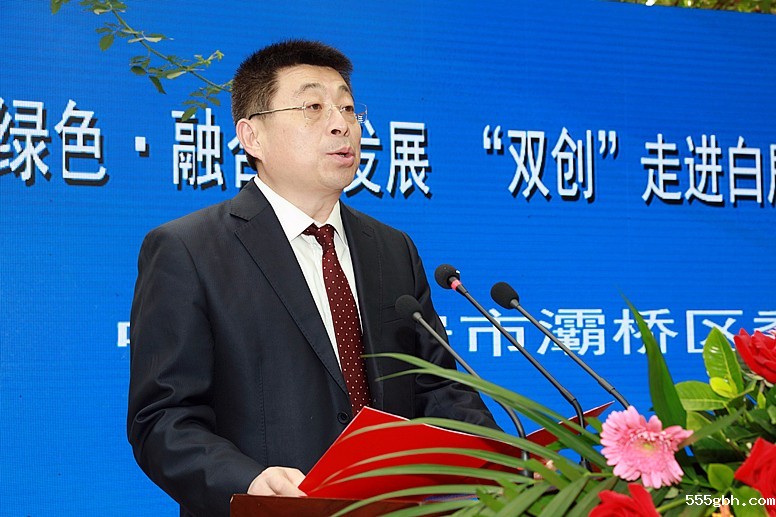 灞桥区委书记.jpg