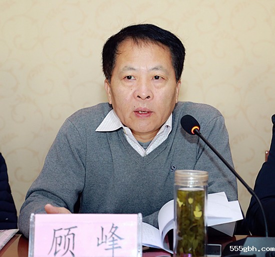 顾峰主持会议并讲话.jpg