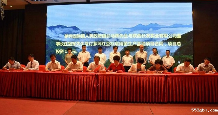 镇安签约仪式.jpg