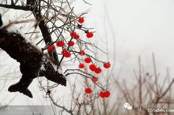 640.webp (1)_副本.jpg