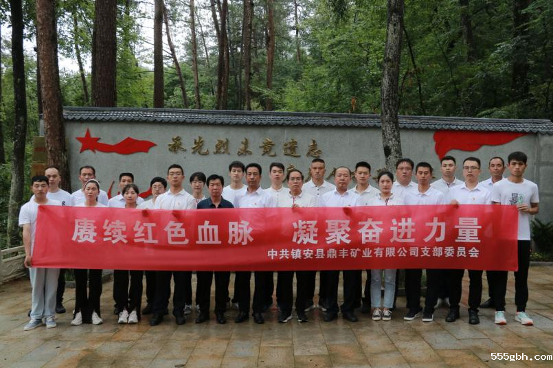 鼎丰矿业1.png