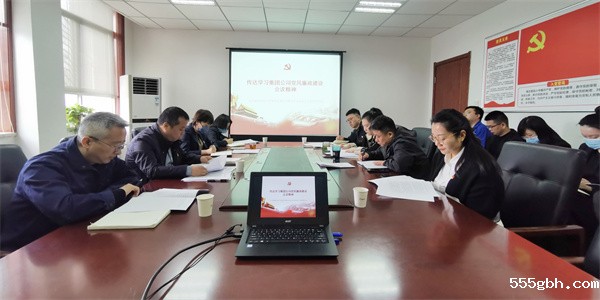 监测公司召开第一季度党风廉政建设专题会议.jpg
